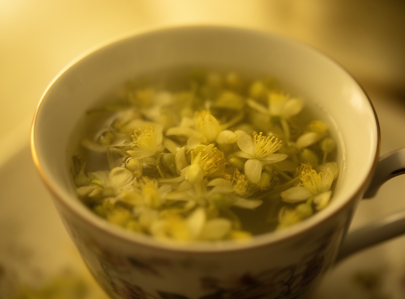 Florile de tei într-un ibric